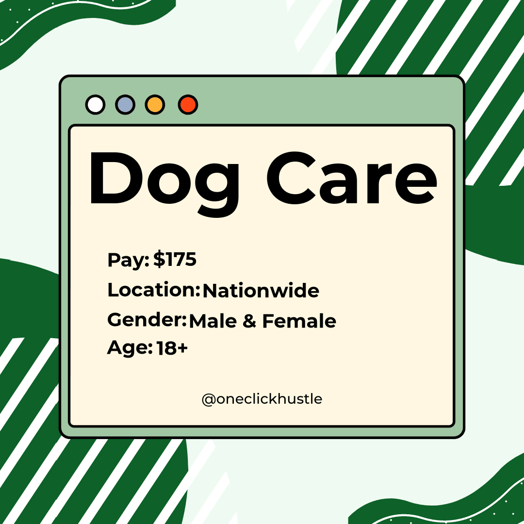 dog-care-focus-group dog-care-focus-group