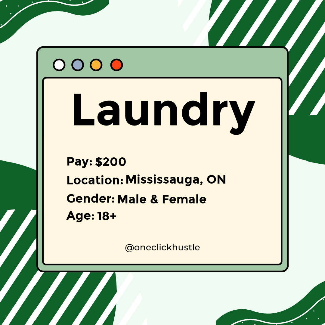 Laundry Mississauga Study
